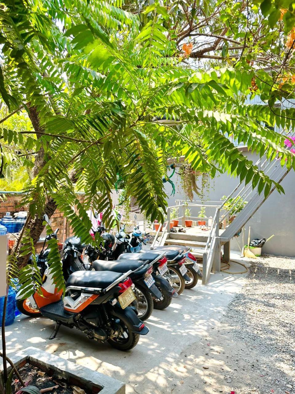 Angkor Piseth * Ciudad de Siem Riep