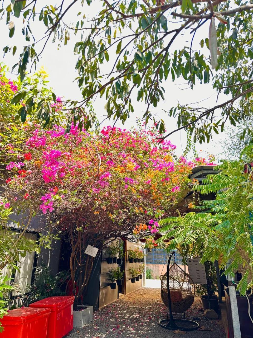 Angkor Piseth Ở trọ